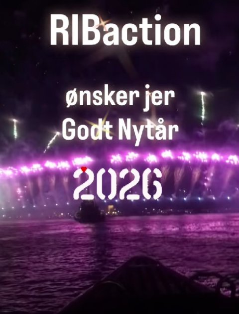 Godt Nyt&aring;r 2026 fra RIBaction